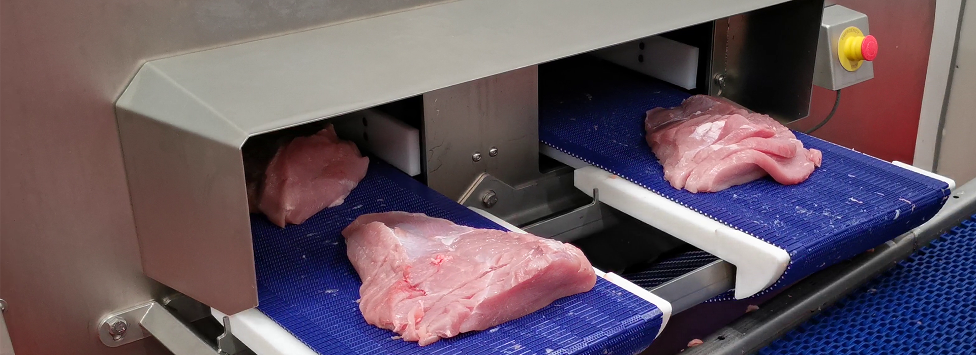 Portionsschneider PORTIO 3D zum Schneiden großer Hühner- oder Putenfilets