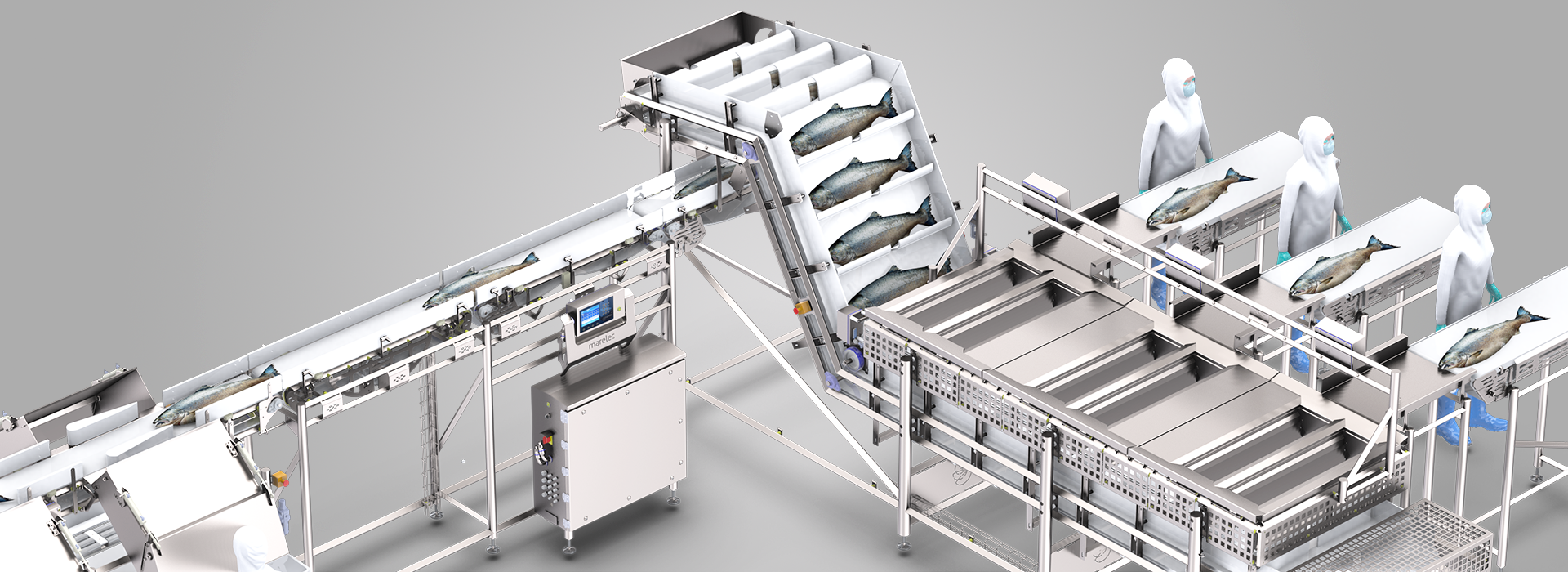 MARELEC's fast and gentle salmon grader provides unparalleled accuracy with unlimited sorting capabilities.