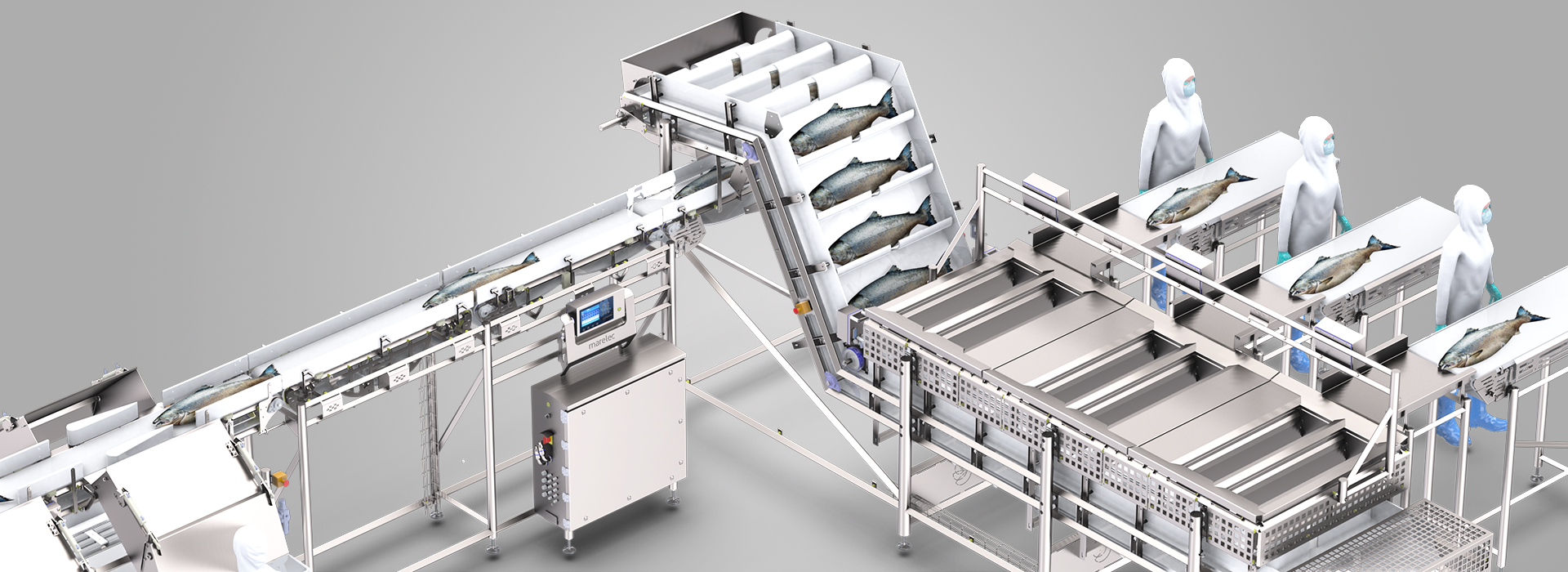 Быстрая и бережная сортировка лосося на оборудовании MARELEC обеспечивает непревзойденную точность с неограниченными возможностями сортировки.