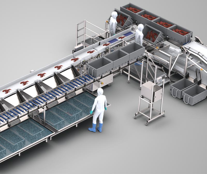 Pesaje y clasificación suave y precisa de productos frágiles como cangrejos, langostinos y cangrejos, incluso a alta velocidad.