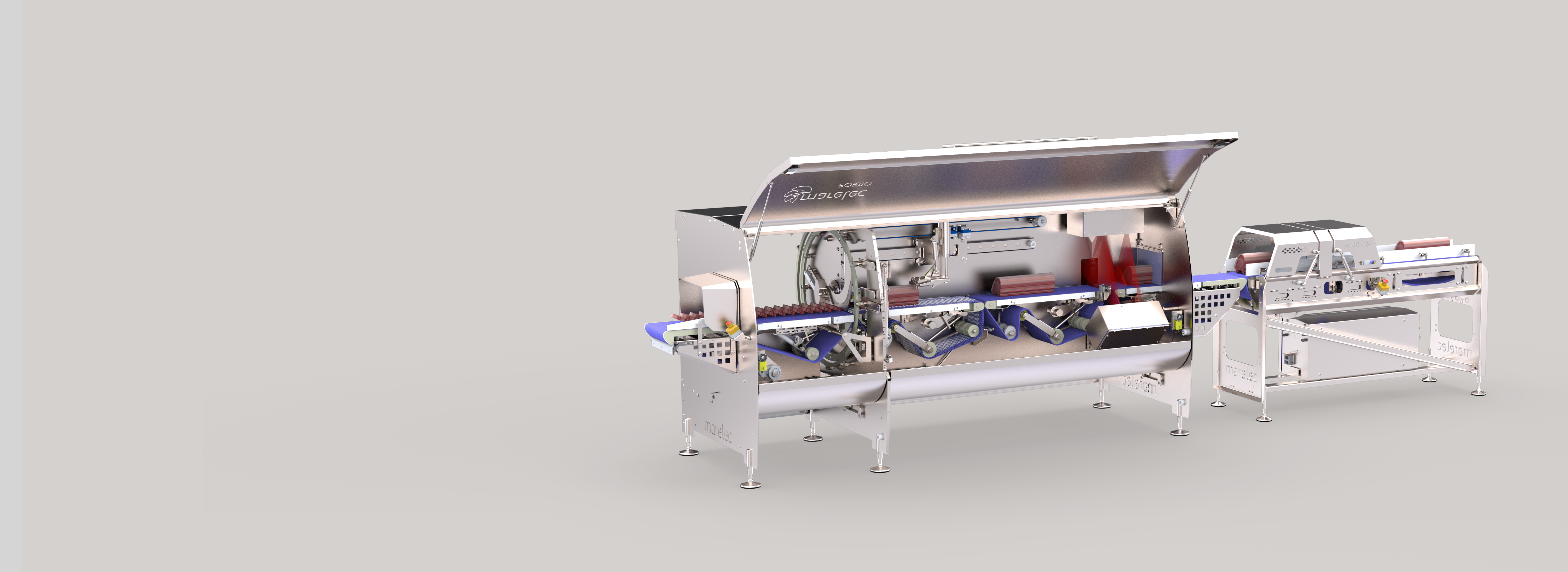 Portion cutter for fixed-weight portions of bone-in pork loins