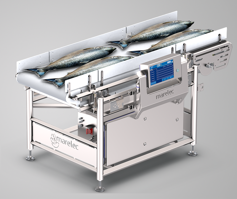 Flowscale dynamic weighing of fish product streams