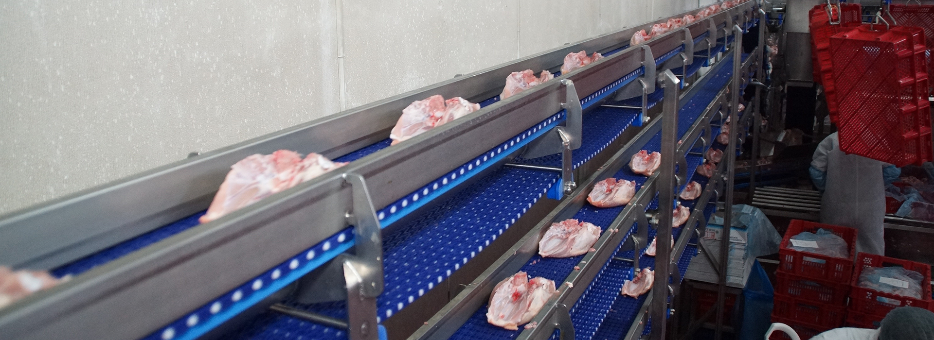 Poultry turnkey solutions