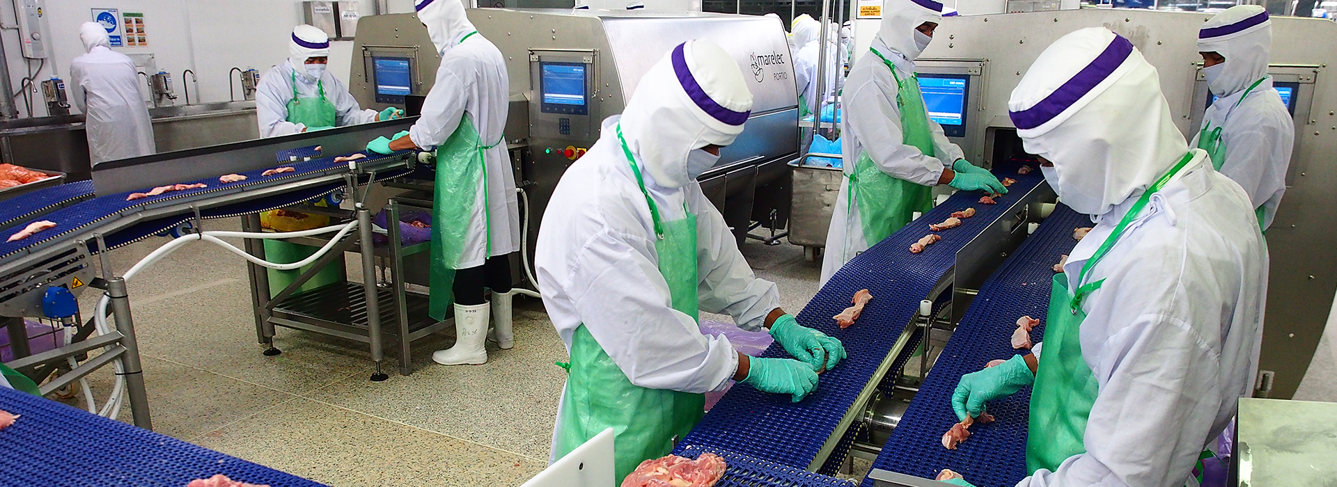 切割机器用于鸡块，鸡肉片，鸡块，日式唐扬快，肉丁或腿排。